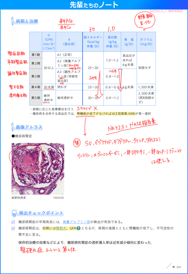 テキスト